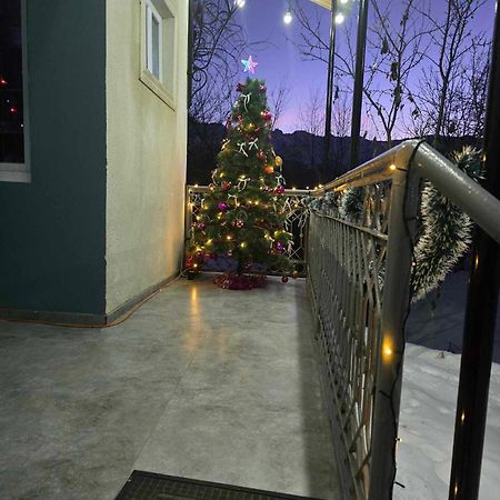 Guest House Vivaushba Bagvdanari Exterior photo