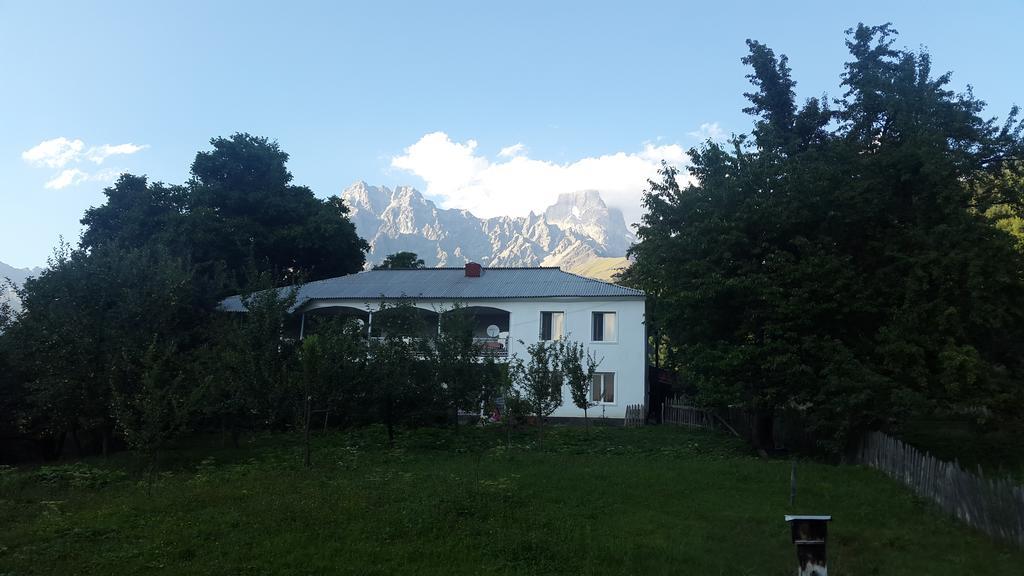 Guest House Vivaushba Bagvdanari Exterior photo